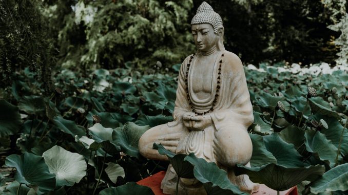 pexels-photo-2873473